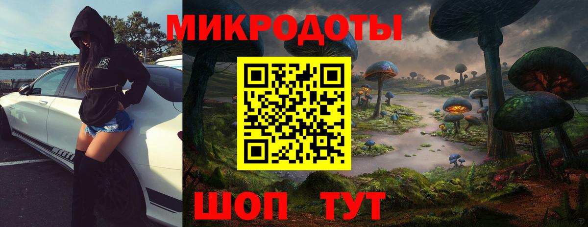 Псилоцибиновые грибы GOLDEN TEACHER Заволжье